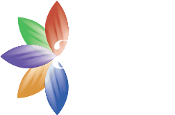 Arts Council